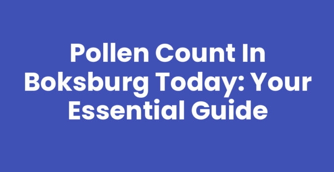 Pollen Count in Boksburg Today: Your Essential Guide