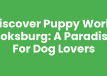 Discover Puppy World Boksburg: A Paradise for Dog Lovers