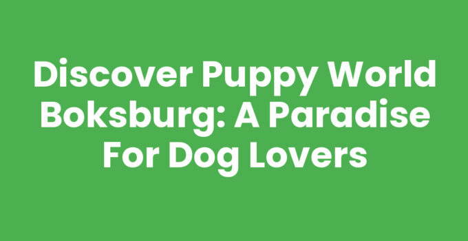 Discover Puppy World Boksburg: A Paradise for Dog Lovers