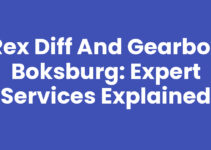 Rex Diff And Gearbox Boksburg: Expert Services Explained