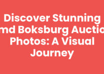 Discover Stunning Smd Boksburg Auction Photos: A Visual Journey