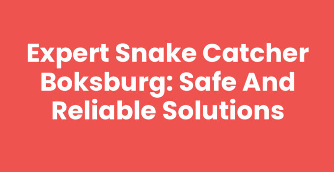 Expert Snake Catcher Boksburg: Safe and Reliable Solutions