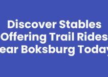 Discover Stables Offering Trail Rides Near Boksburg Today!