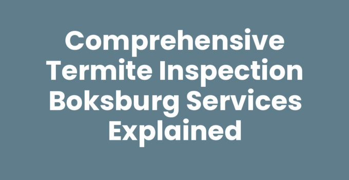 Comprehensive Termite Inspection Boksburg Services Explained