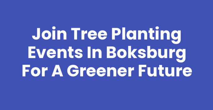 Join Tree Planting Events in Boksburg for a Greener Future