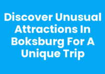 Discover Unusual Attractions in Boksburg for a Unique Trip