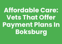Affordable Care: Vets That Offer Payment Plans in Boksburg