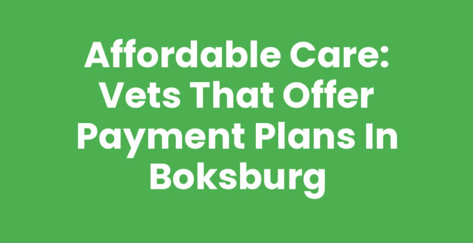 Affordable Care: Vets That Offer Payment Plans in Boksburg