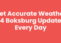 Get Accurate Weather 24 Boksburg Updates Every Day