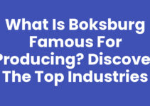 What is Boksburg Famous for Producing? Discover the Top Industries