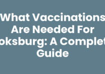 What Vaccinations Are Needed for Boksburg: A Complete Guide