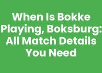 When Is Bokke Playing, Boksburg: All Match Details You Need