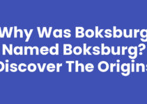 Why Was Boksburg Named Boksburg? Discover the Origins